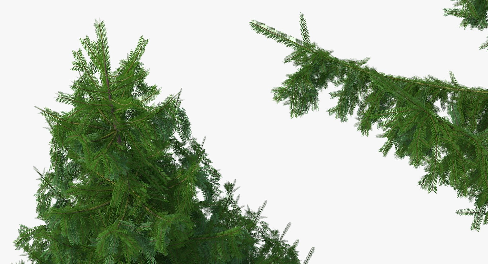 3D Evergreen Trees Collection 2 https://p.turbosquid.com/ts-thumb/oK/Tsu5hp/We/evergreentreescollection2mb3dmodel010/jpg/1647002204/1920x1080/fit_q87/c5edcf66bbd0367aa91778c0307a445edefce151/evergreentreescollection2mb3dmodel010.jpg