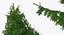 Evergreen Trees Collection 2