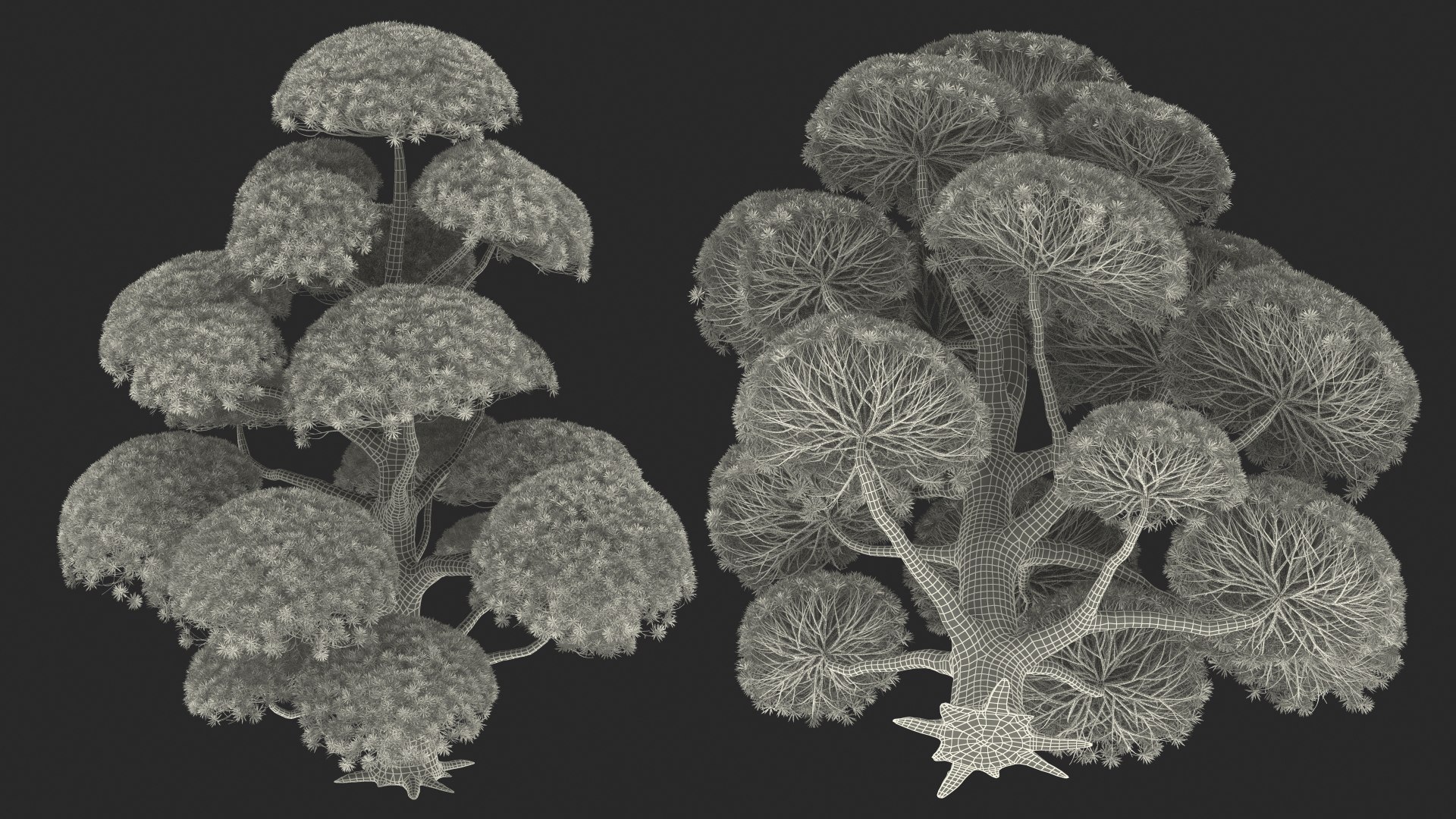 3D Evergreen Trees Collection 2 https://p.turbosquid.com/ts-thumb/oK/Tsu5hp/dn/evergreentreescollection2mb3dmodel071/jpg/1647002398/1920x1080/fit_q87/642e91edf378076578c9a560262af89a2573ff51/evergreentreescollection2mb3dmodel071.jpg