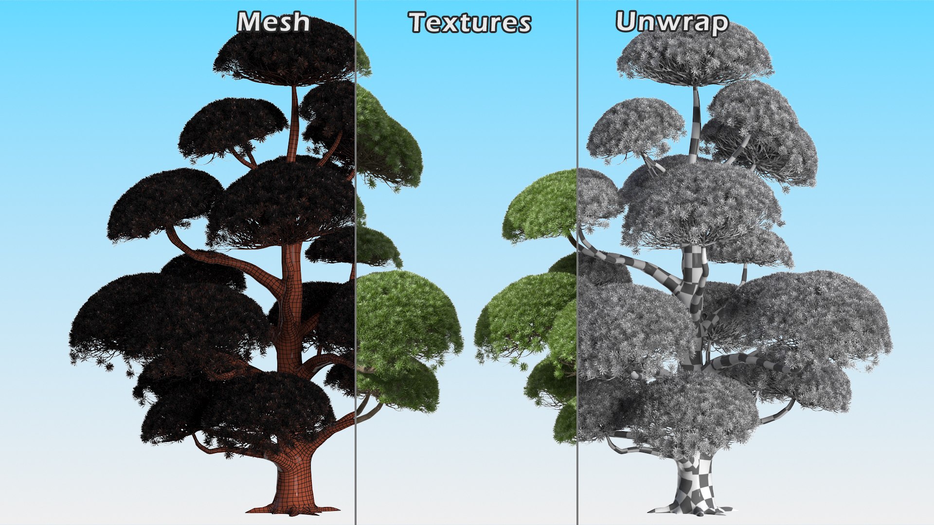 3D Evergreen Trees Collection 2 https://p.turbosquid.com/ts-thumb/oK/Tsu5hp/eB/evergreentreescollection2mb3dmodel060/jpg/1647002363/1920x1080/fit_q87/af43558e947dde69ec3faf62f7edcce3e551d4e7/evergreentreescollection2mb3dmodel060.jpg