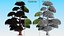 Evergreen Trees Collection 2