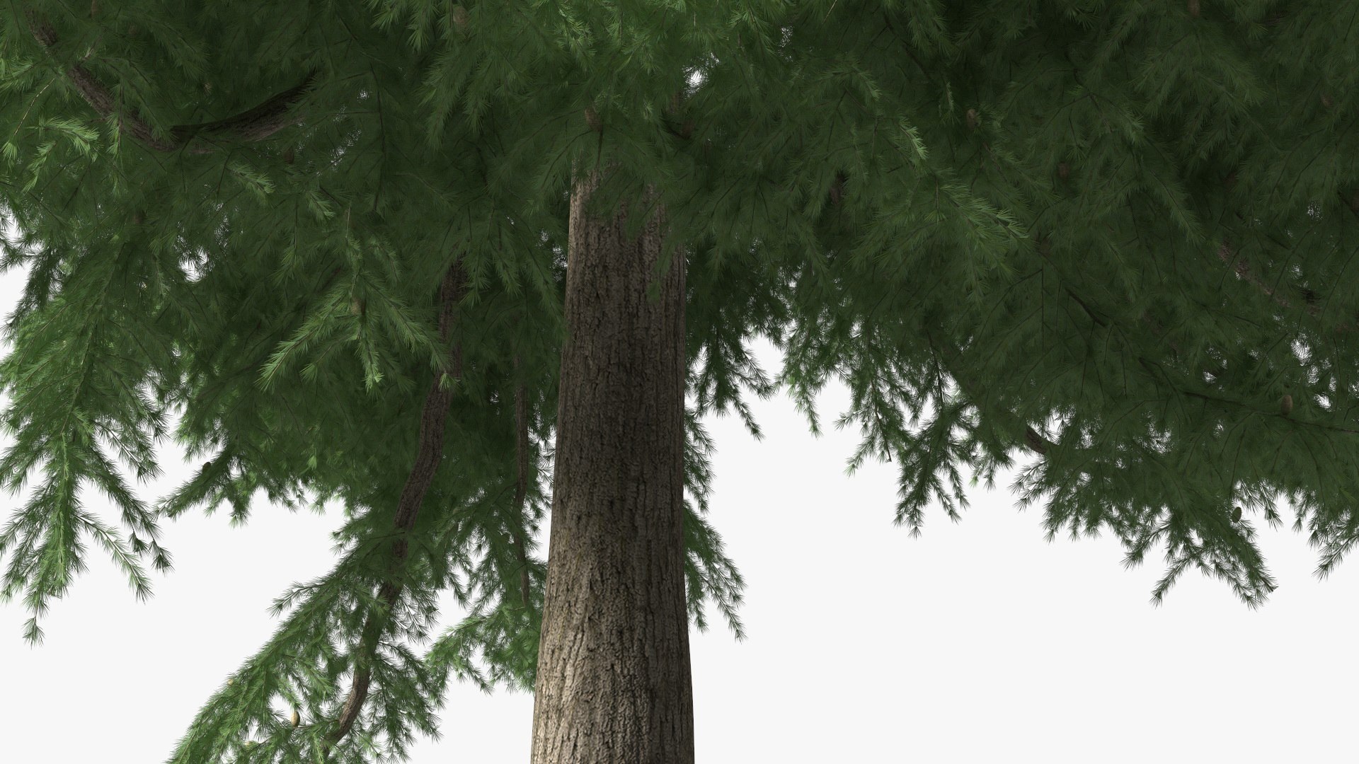 3D Evergreen Trees Collection 2 https://p.turbosquid.com/ts-thumb/oK/Tsu5hp/fV/evergreentreescollection2mb3dmodel034/jpg/1647002279/1920x1080/fit_q87/6cf861c1d238396e1366711a6f8926bc9ac2b607/evergreentreescollection2mb3dmodel034.jpg