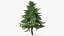 Evergreen Trees Collection 2