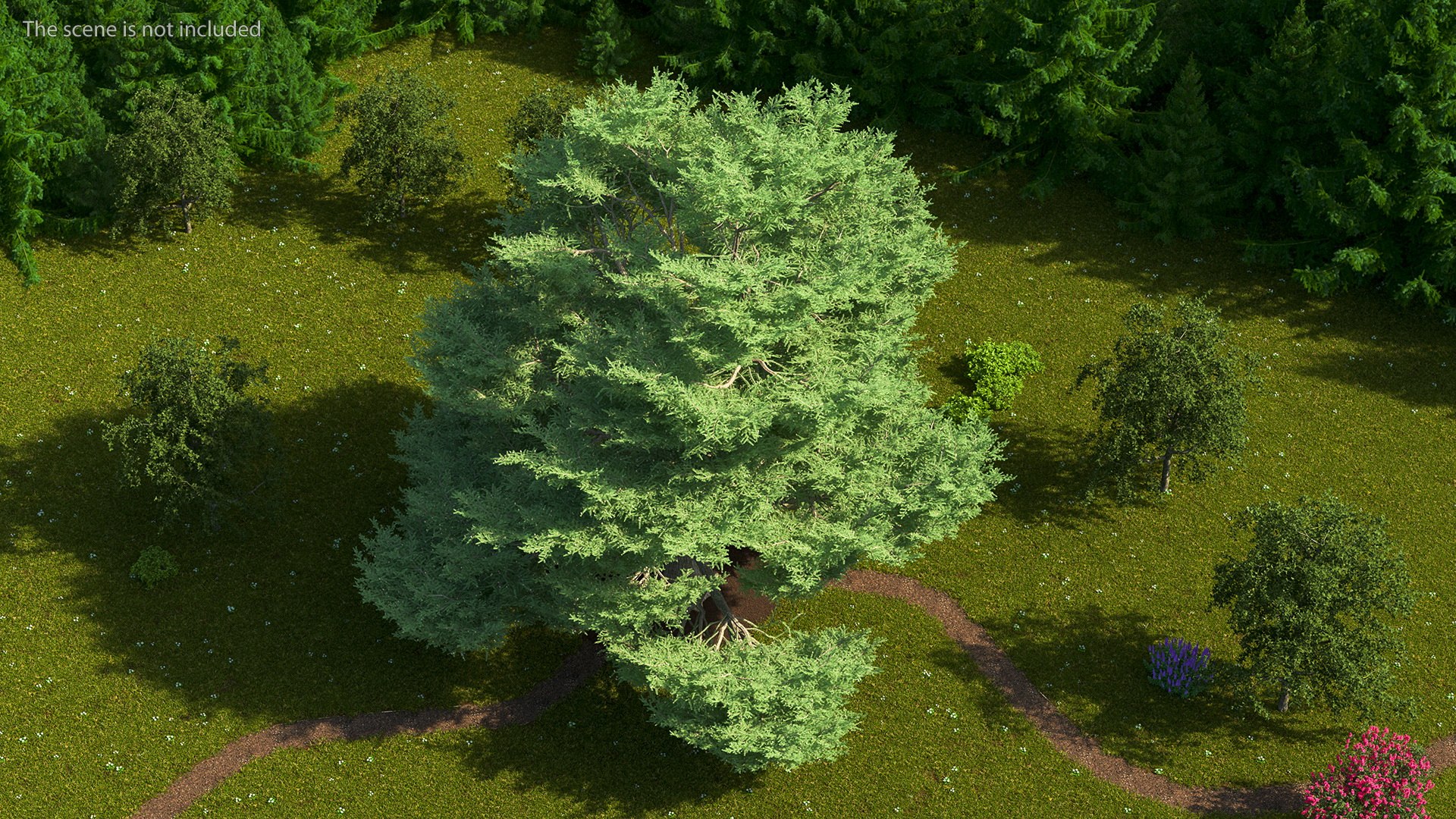 3D Evergreen Trees Collection 2 https://p.turbosquid.com/ts-thumb/oK/Tsu5hp/ga/evergreentreescollection2mb3dmodel041/jpg/1647002303/1920x1080/fit_q87/a0b8c084f3ca5490f12bfba17c80a49045a9bc47/evergreentreescollection2mb3dmodel041.jpg