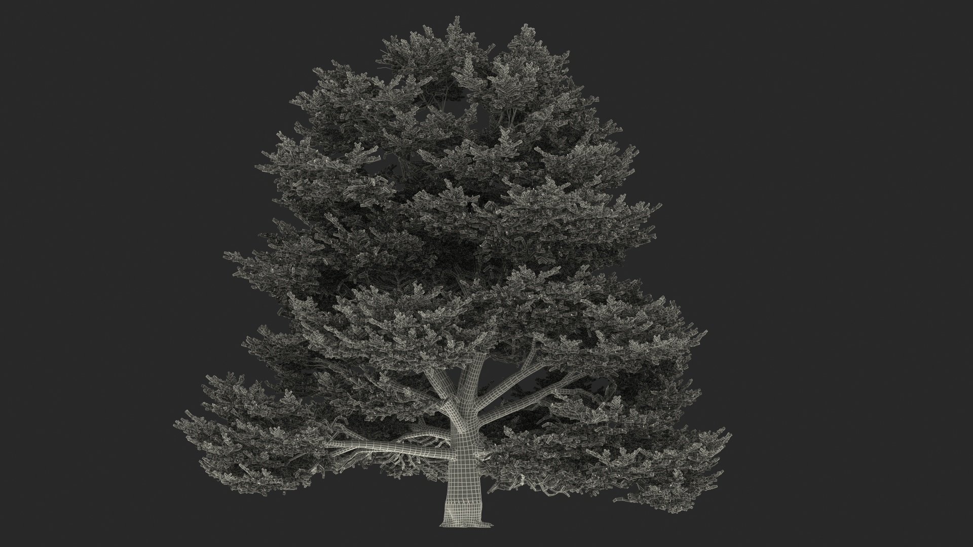 3D Evergreen Trees Collection 2 https://p.turbosquid.com/ts-thumb/oK/Tsu5hp/mR/cedrus_libani_big_green_tree_361/jpg/1647002563/1920x1080/turn_fit_q99/e5dabca88a83548c4f34af31399761cc3ff92d7b/cedrus_libani_big_green_tree_361-1.jpg