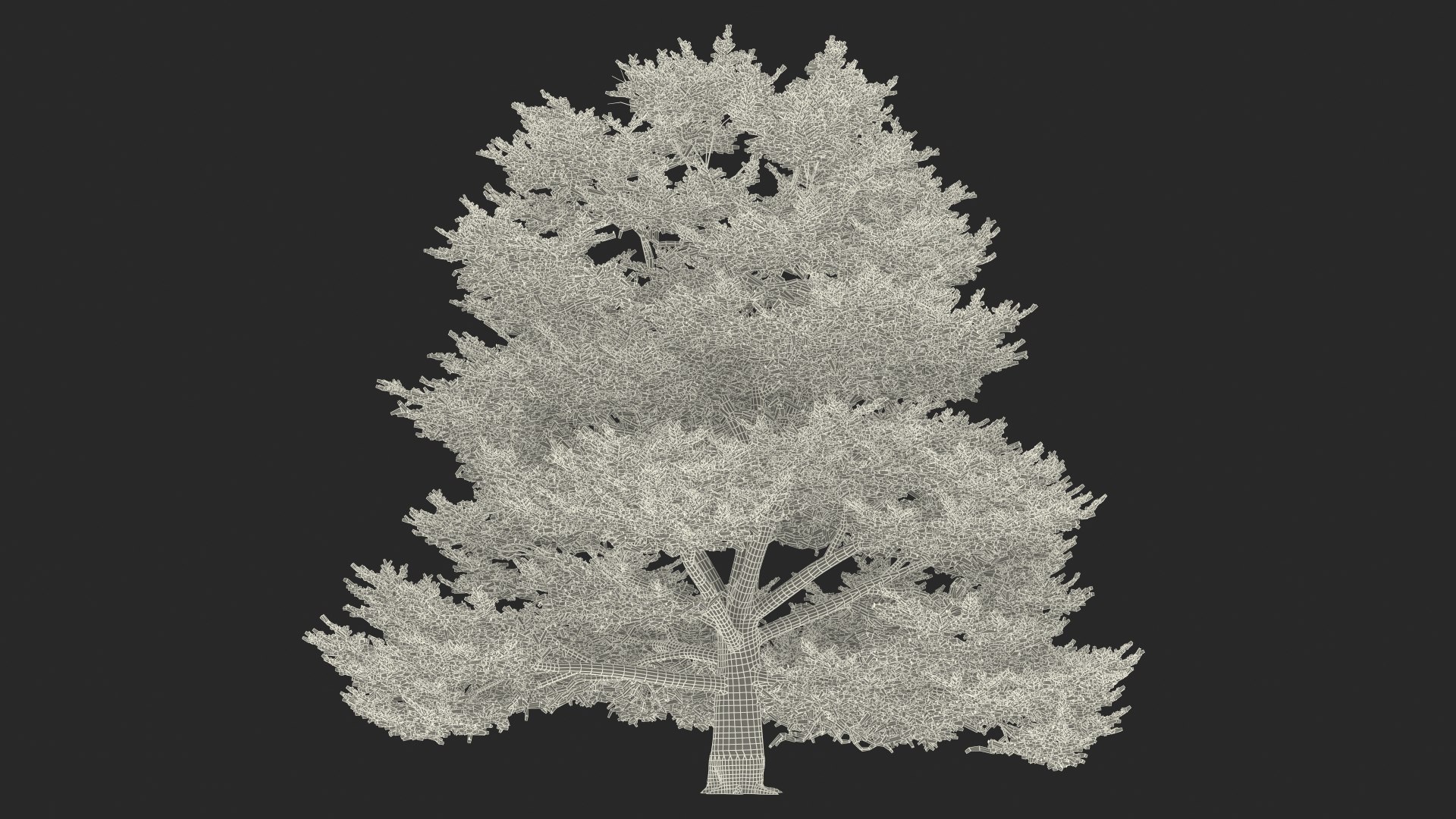 3D Evergreen Trees Collection 2 https://p.turbosquid.com/ts-thumb/oK/Tsu5hp/n9/evergreentreescollection2mb3dmodel070/jpg/1647002394/1920x1080/fit_q87/fb07b78ec53302bfeeee5773258aa3cf5c9a25bc/evergreentreescollection2mb3dmodel070.jpg
