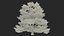 Evergreen Trees Collection 2
