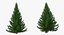 Evergreen Trees Collection 2
