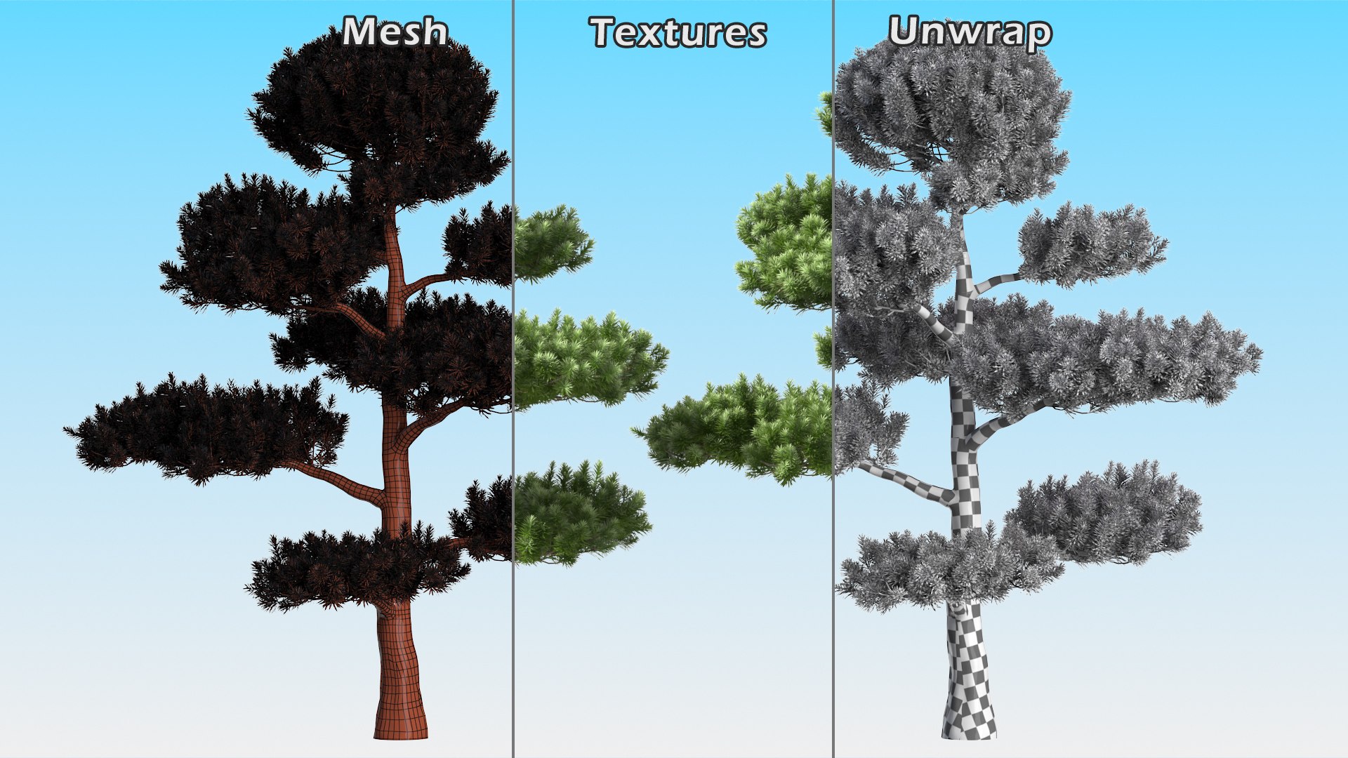 3D Evergreen Trees Collection 2 https://p.turbosquid.com/ts-thumb/oK/Tsu5hp/qa/evergreentreescollection2mb3dmodel015/jpg/1647002219/1920x1080/fit_q87/5b0c9cfb9b98c859214383eabbd446438f5c58a1/evergreentreescollection2mb3dmodel015.jpg