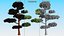 Evergreen Trees Collection 2