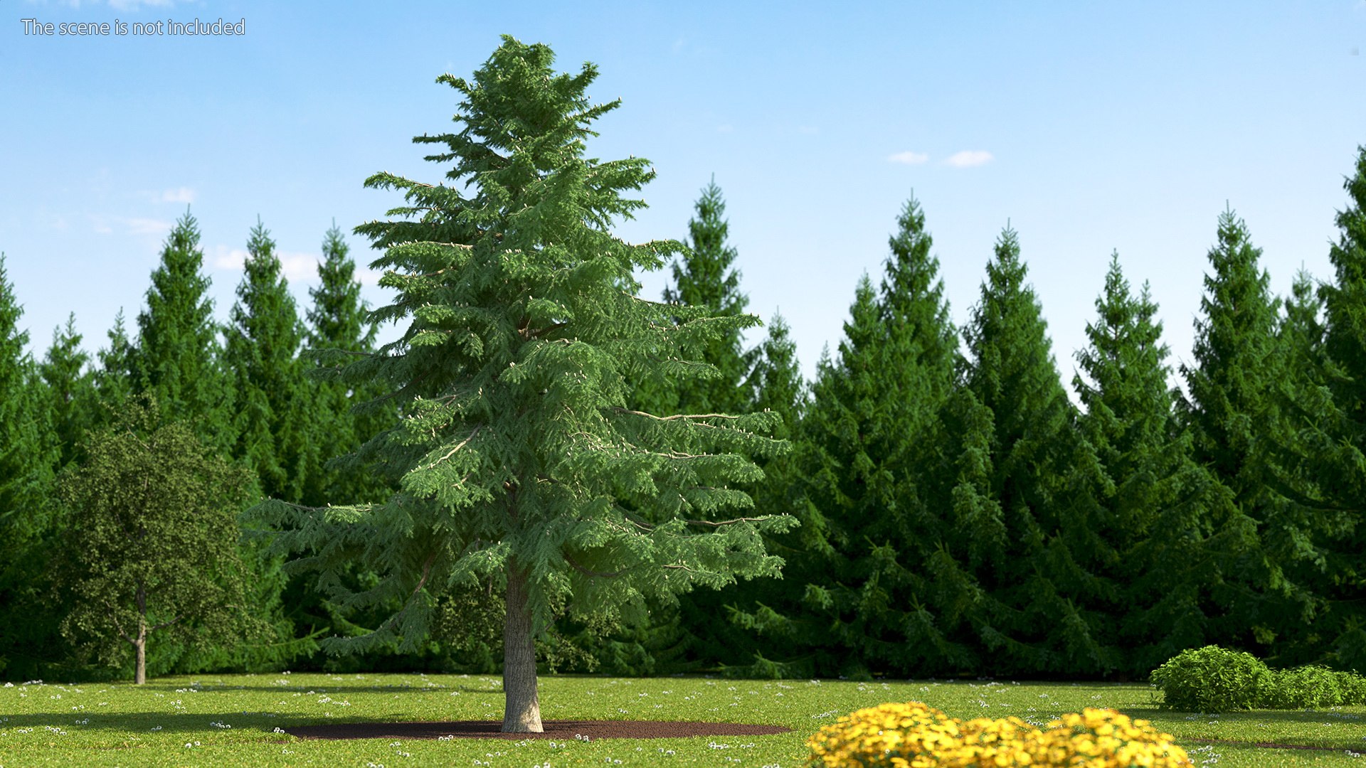 3D Evergreen Trees Collection 2 https://p.turbosquid.com/ts-thumb/oK/Tsu5hp/rW/evergreentreescollection2mb3dmodel024/jpg/1647002248/1920x1080/fit_q87/715897290465bd9cac7110a33e900cbedd6024b7/evergreentreescollection2mb3dmodel024.jpg