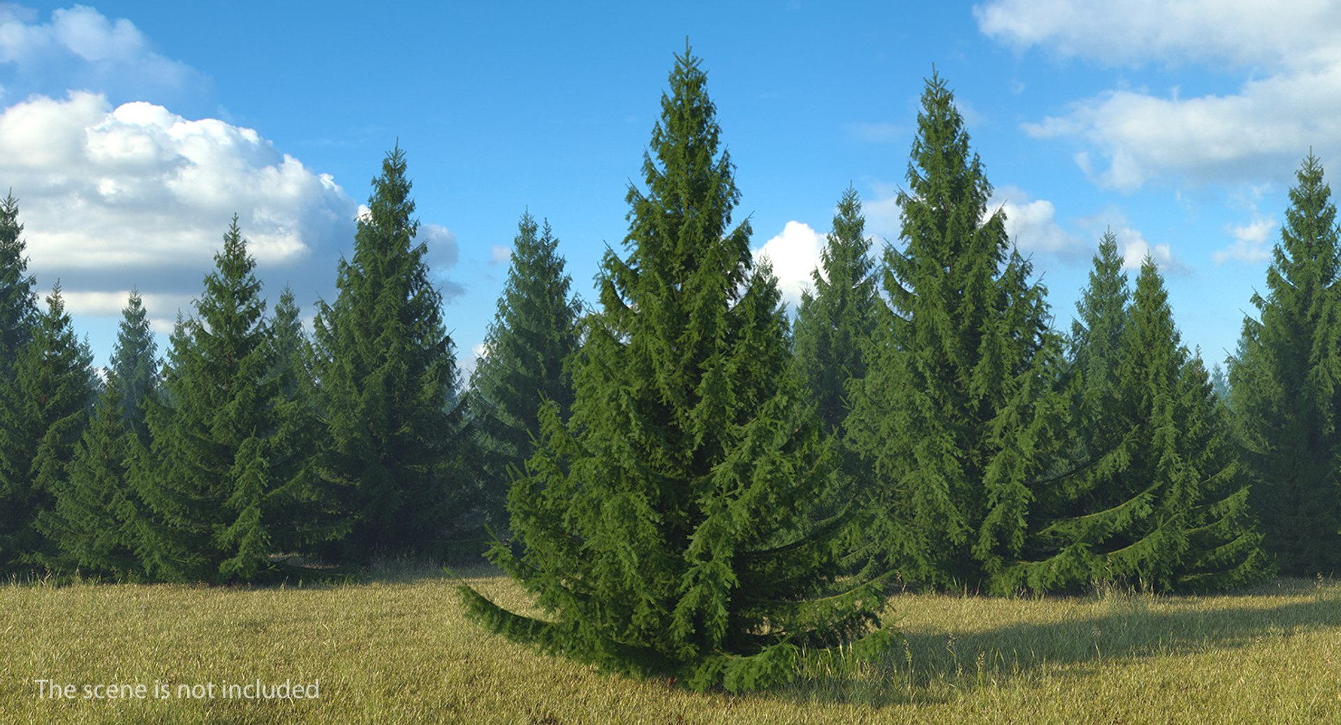 3D Evergreen Trees Collection 2 https://p.turbosquid.com/ts-thumb/oK/Tsu5hp/x9/evergreentreescollection2mb3dmodel003/jpg/1647002183/1920x1080/fit_q87/32a73aaa62c4a36c0286cff6d4e07afcd307f411/evergreentreescollection2mb3dmodel003.jpg