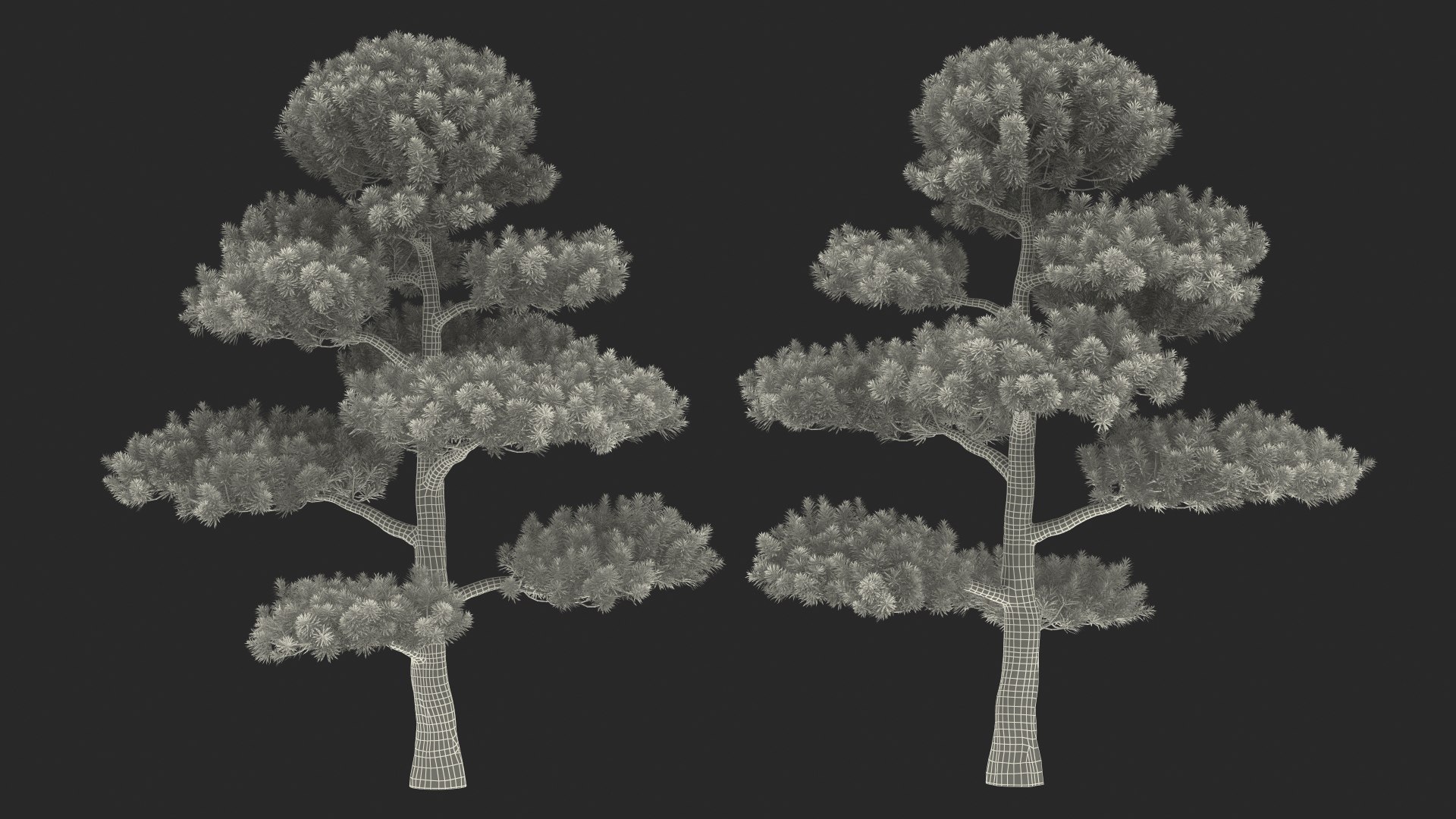 3D Evergreen Trees Collection 2 https://p.turbosquid.com/ts-thumb/oK/Tsu5hp/xv/evergreentreescollection2mb3dmodel068/jpg/1647002388/1920x1080/fit_q87/70991a395fc1cf3bcc722072d050cabd237fd63f/evergreentreescollection2mb3dmodel068.jpg