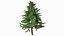 Evergreen Trees Collection 2
