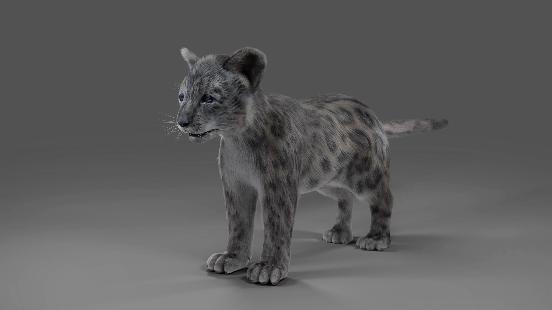 Fur Baby Snow Leopard No Rigged 3D Model - TurboSquid 2026486