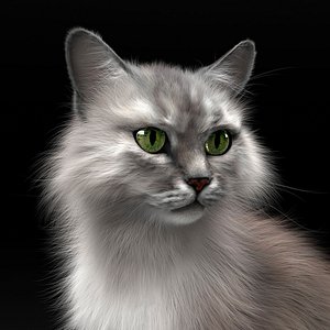 cat fur model