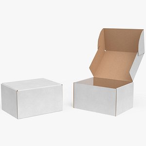 Cardboard Box 11 Rigged