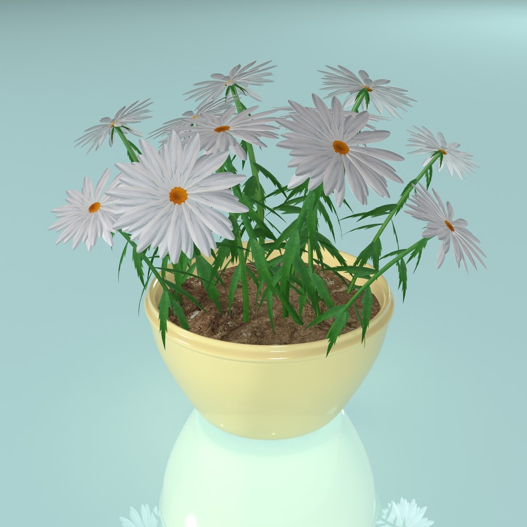 3d Flower