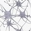 3d neuron model