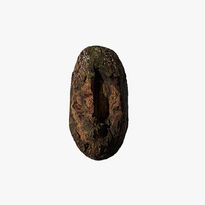 3D Anydrafts Acer palmatum Burl 04