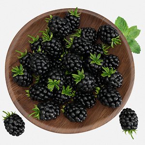 Single Blackberry and Bowl of Blackberries 3D