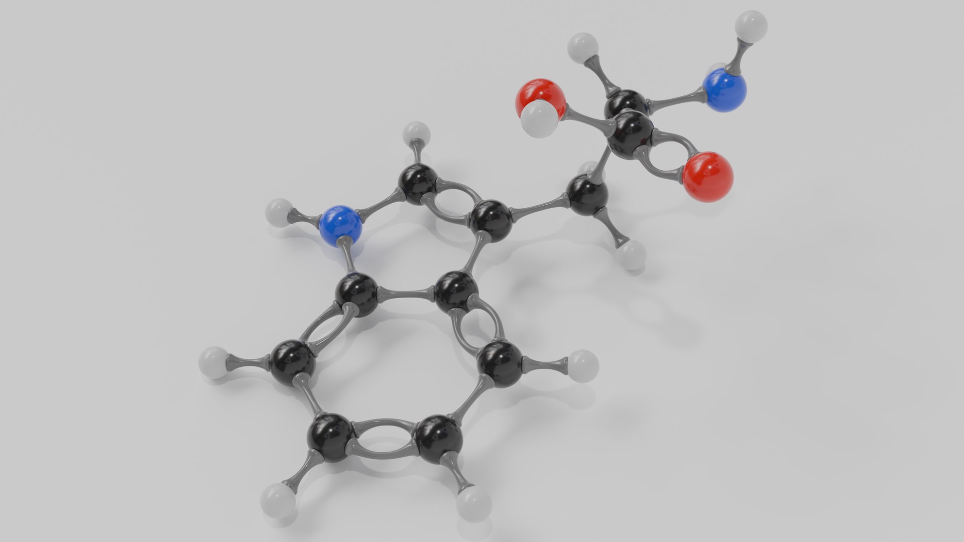 3D Tryptophan molecule model model https://p.turbosquid.com/ts-thumb/oL/F6A37c/D3/tryptophan_image_02/png/1793302544/1920x1080/fit_q87/89723fa6104c7e3276aee2248388cf39a3fb648a/tryptophan_image_02.jpg