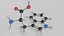 Tryptophan molecule model