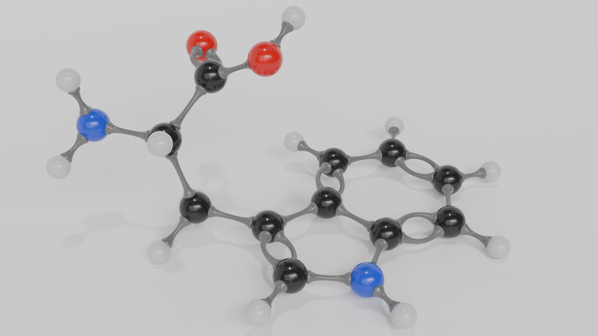3D Tryptophan molecule model model https://p.turbosquid.com/ts-thumb/oL/F6A37c/rJ/tryptophan_image_01/png/1793302546/1920x1080/fit_q87/ca357f59013d701b1543d8ac5272648b0c4fb825/tryptophan_image_01.jpg