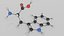 Tryptophan molecule model
