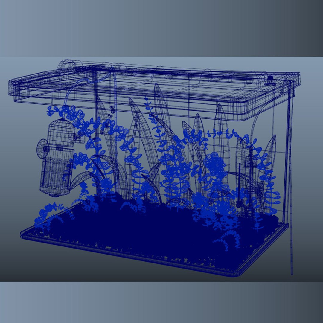 3D cartoon aquarium animation render https://p.turbosquid.com/ts-thumb/oL/K9wKQF/H1JaBNUg/detail_29/jpg/1599499209/1920x1080/fit_q87/78013a5d7d0ecedabb7c8707545720b7a85f9b47/detail_29.jpg