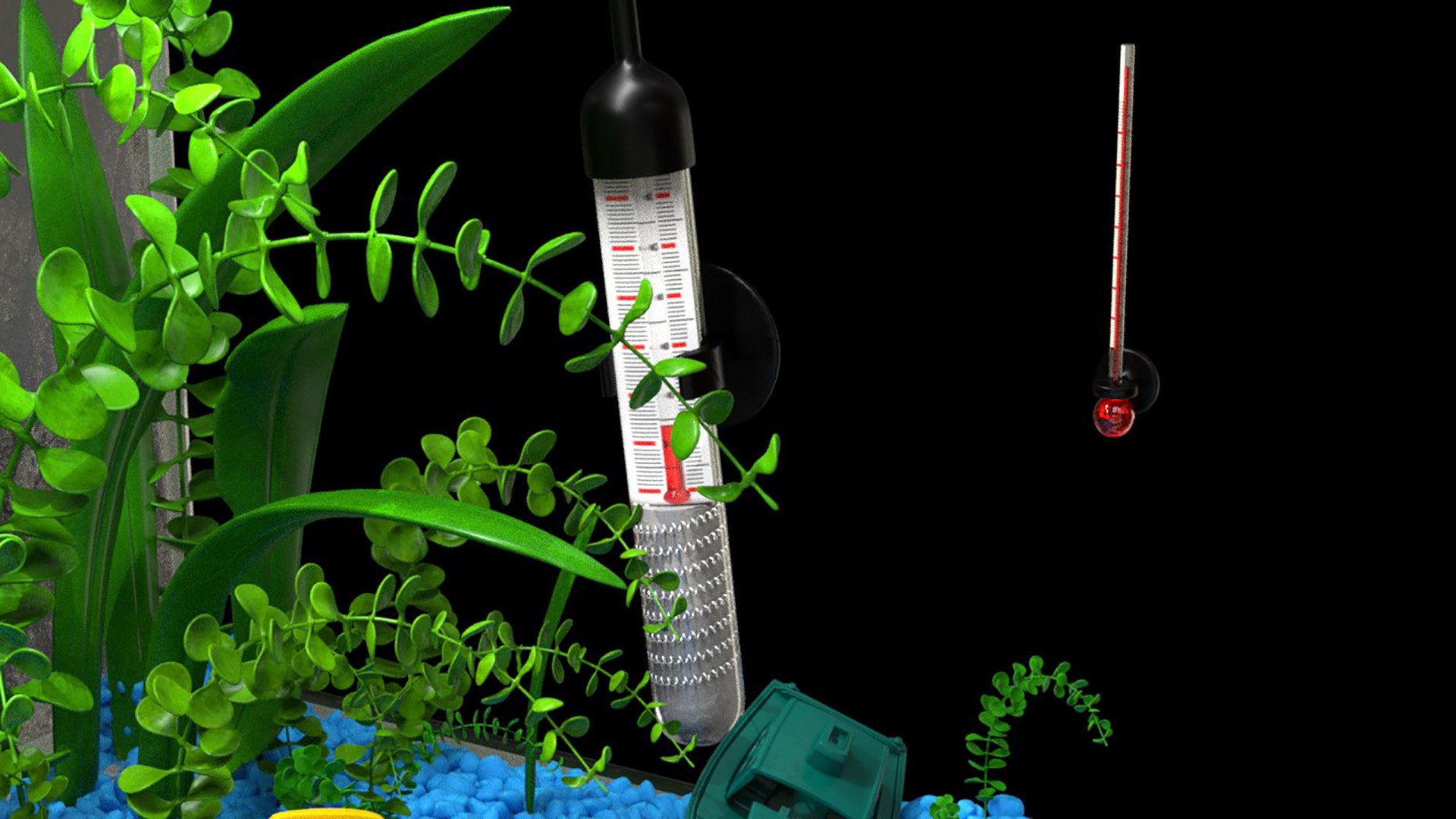 3D cartoon aquarium animation render https://p.turbosquid.com/ts-thumb/oL/K9wKQF/g6HkbL5a/product_8/jpg/1599500266/1920x1080/fit_q87/5b931a20f30211fd5e447d39a9c8c782d8ae67c5/product_8.jpg