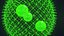 Algae Volvox