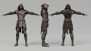 Assassin Rogue - Rigged 3D model