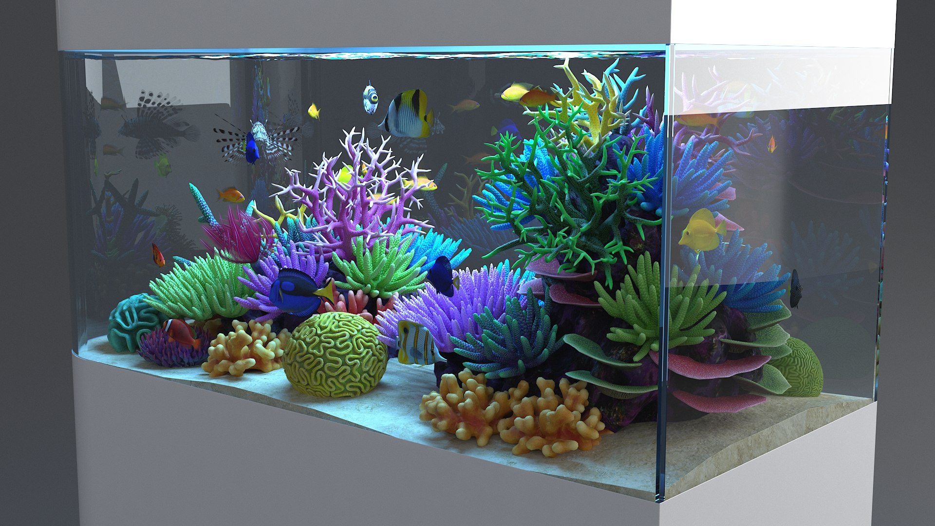 3D aquarium 06 model https://p.turbosquid.com/ts-thumb/oL/lqTfde/7MjhEPUE/aquasixth_10/jpg/1580284891/1920x1080/fit_q87/cf7e5532a2cc1d739887896930ebfe49e36a03bb/aquasixth_10.jpg