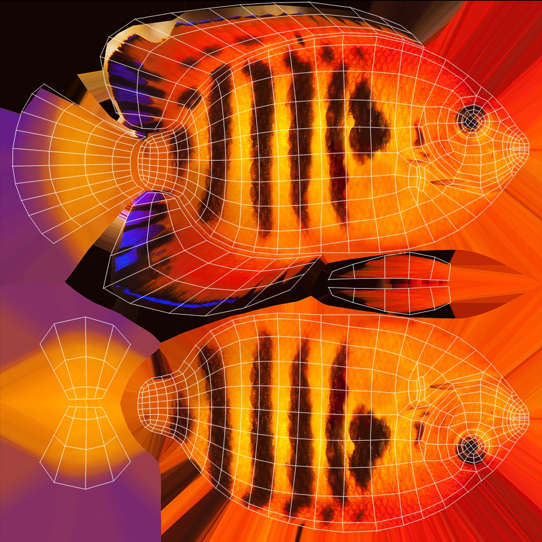3D aquarium 06 model https://p.turbosquid.com/ts-thumb/oL/lqTfde/E2m45gRb/xuvs_fish_09/jpg/1580284893/1920x1080/fit_q87/88afc61c7b0631858e3308d6d8a46d7efe146150/xuvs_fish_09.jpg