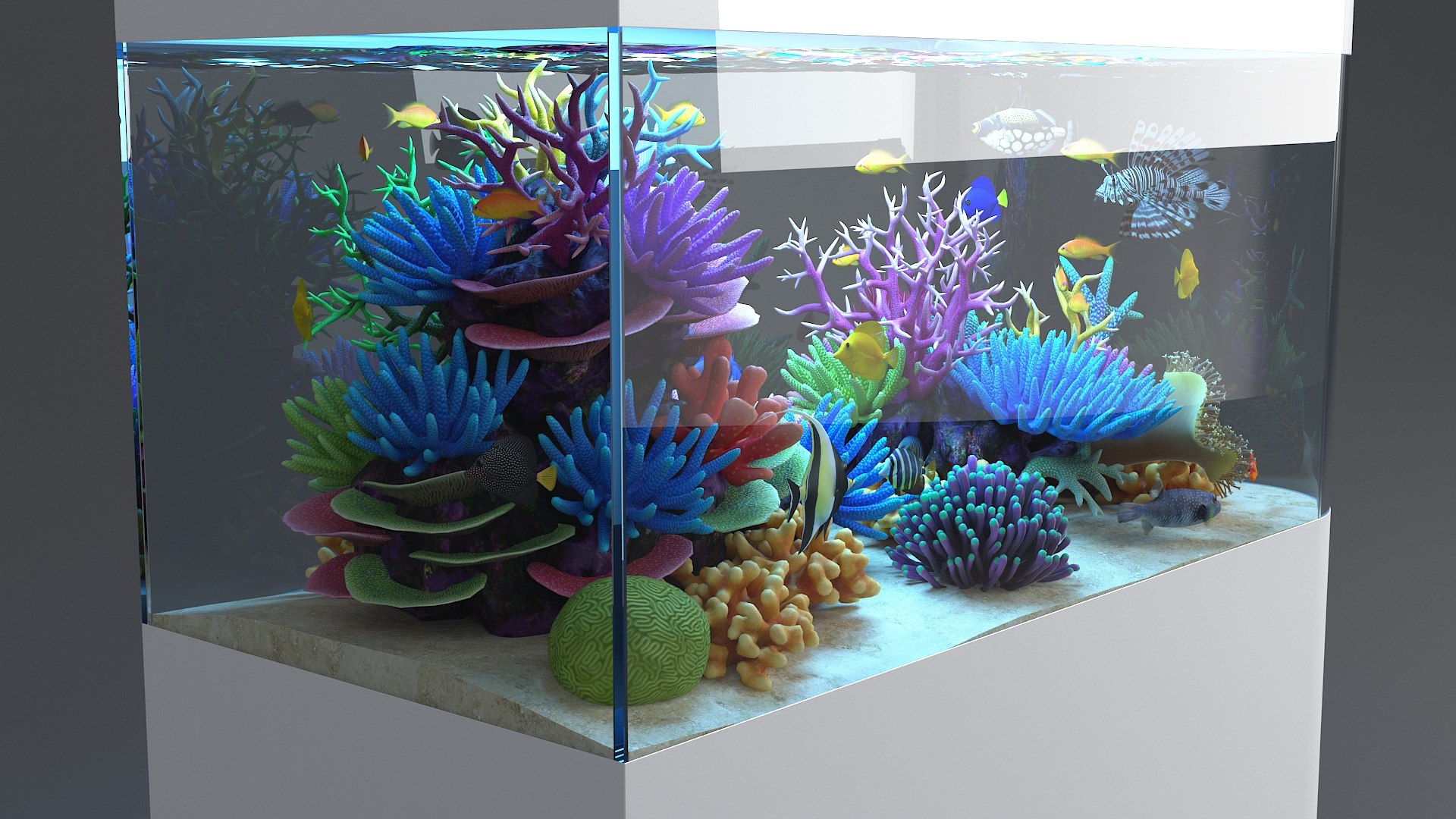 3D aquarium 06 model https://p.turbosquid.com/ts-thumb/oL/lqTfde/JVbuFIIW/aquasixth_12/jpg/1580284891/1920x1080/fit_q87/30696c00b364b25ecffd11788c1b17035106e774/aquasixth_12.jpg