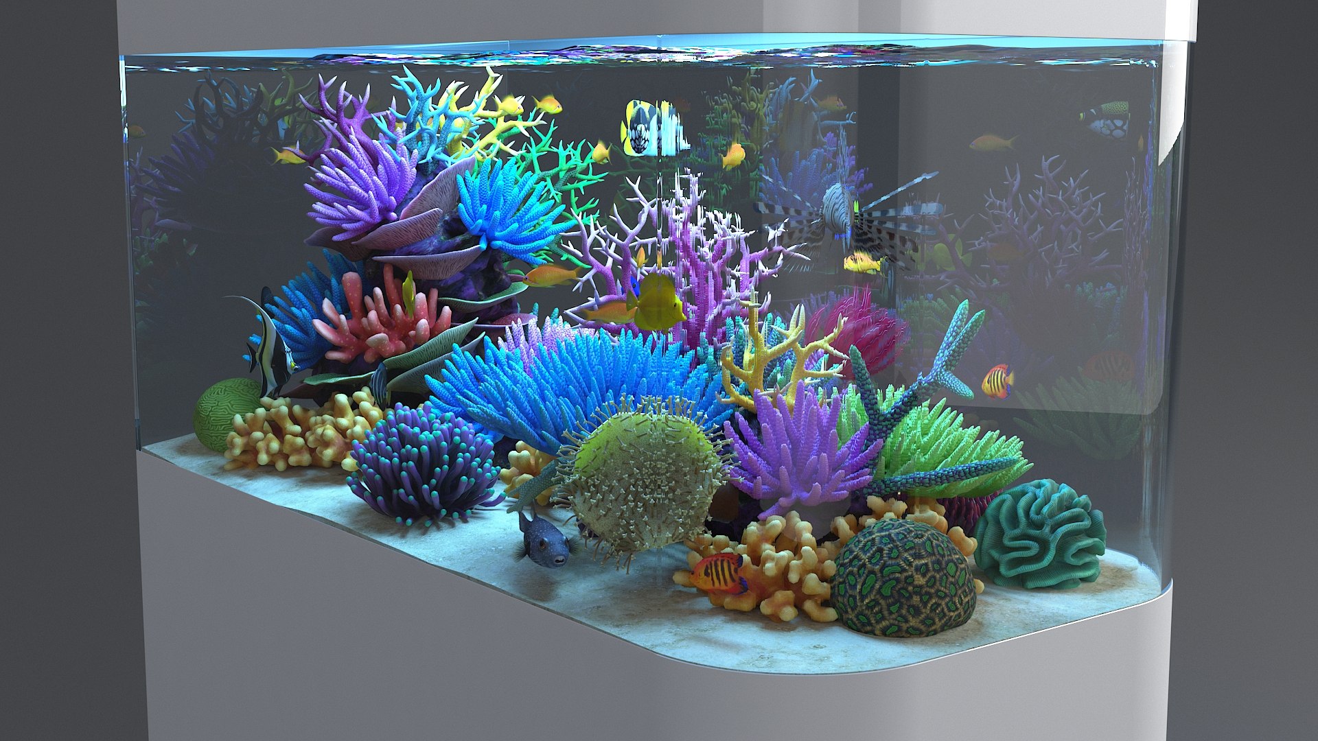3D aquarium 06 model https://p.turbosquid.com/ts-thumb/oL/lqTfde/Jdx3pOwd/aquasixth_13/jpg/1580284891/1920x1080/fit_q87/f21701798a3ff71ab24fb728582459cf18e15bfe/aquasixth_13.jpg