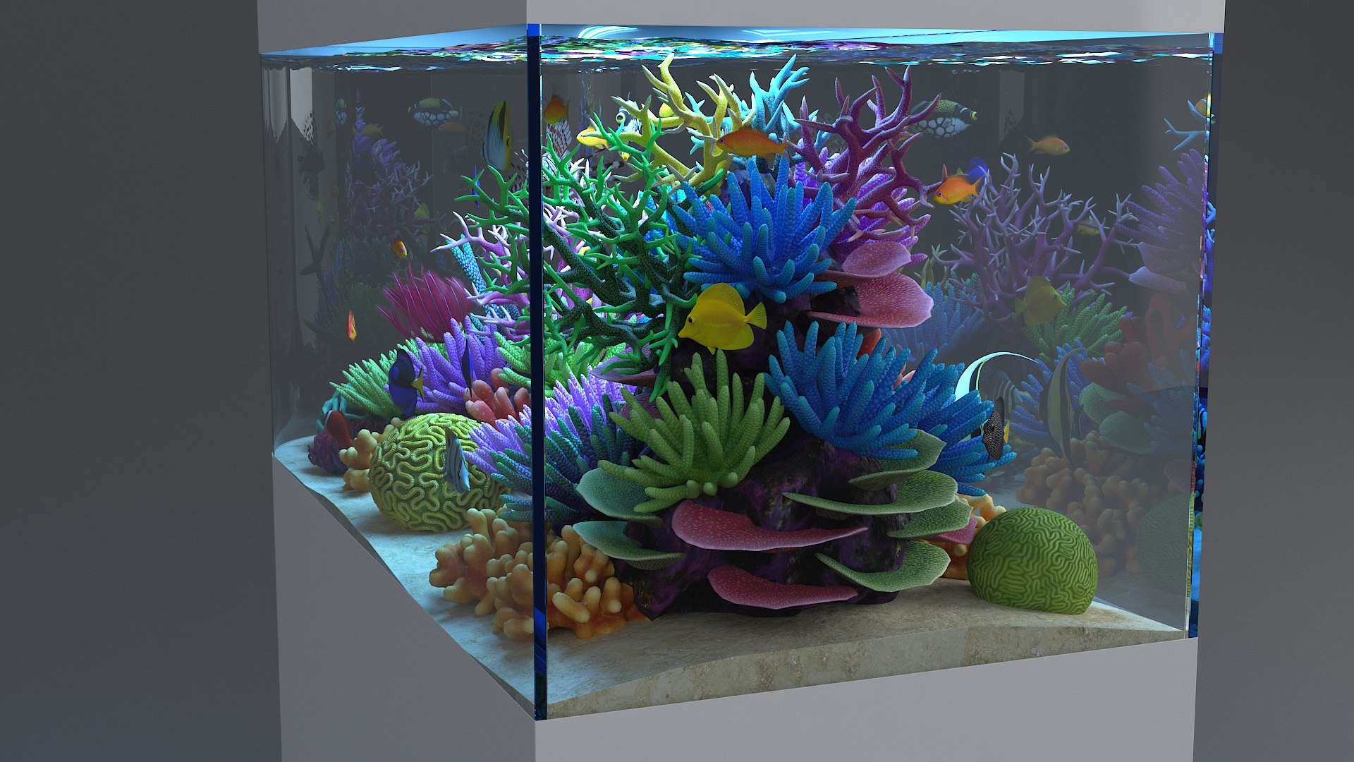 3D aquarium 06 model https://p.turbosquid.com/ts-thumb/oL/lqTfde/LrqRFYDp/aquasixth_11/jpg/1580284891/1920x1080/fit_q87/3355e145915c5a6bc15795eb8f2a20306661032d/aquasixth_11.jpg