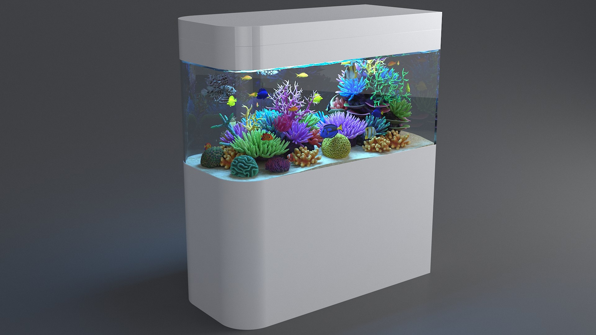 3D aquarium 06 model https://p.turbosquid.com/ts-thumb/oL/lqTfde/TUsIIG2y/aquasixth_02/jpg/1580284891/1920x1080/fit_q87/ce323167fcaf7d9a6b0b58092fc115f7a6d9b83c/aquasixth_02.jpg