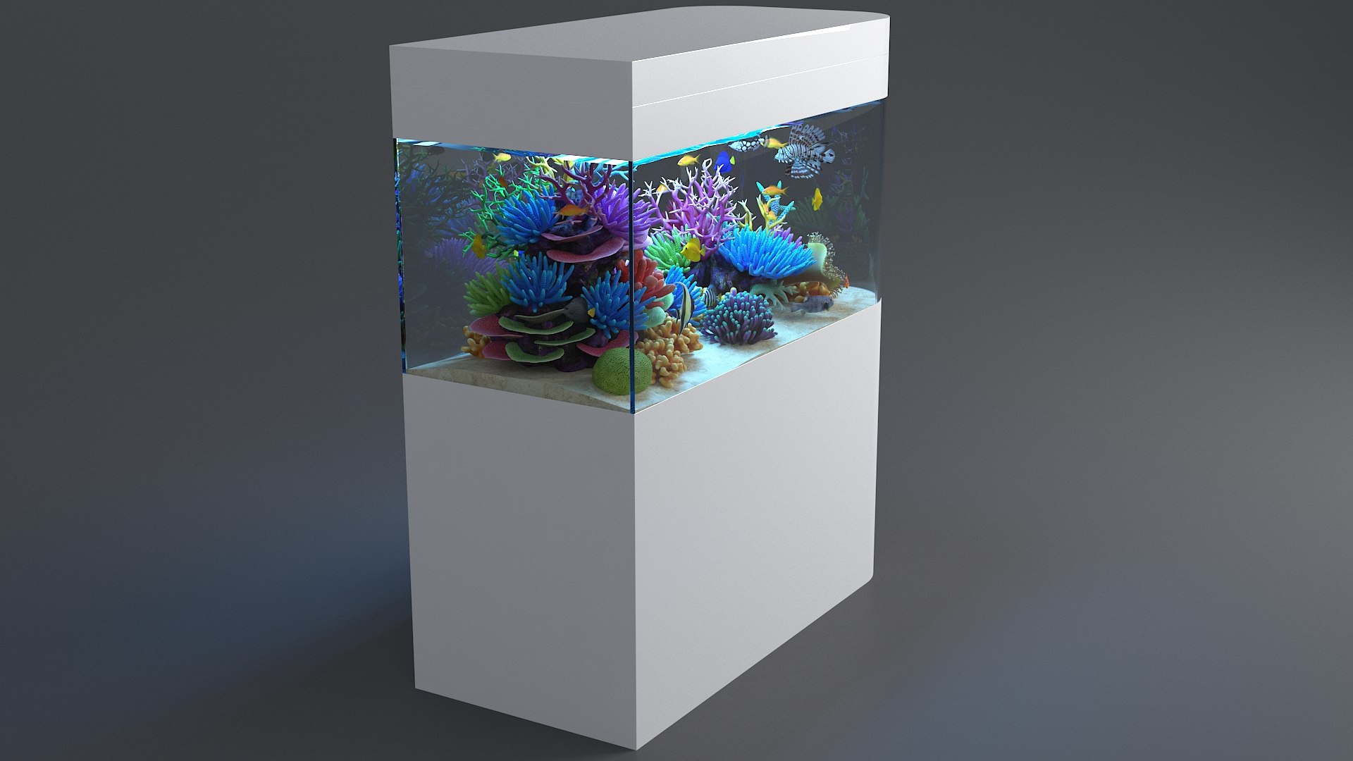 3D aquarium 06 model https://p.turbosquid.com/ts-thumb/oL/lqTfde/W6Rg3vMx/aquasixth_06/jpg/1580284891/1920x1080/fit_q87/6435f7890d5095daf33b099d90cdd1ce2b416c9e/aquasixth_06.jpg