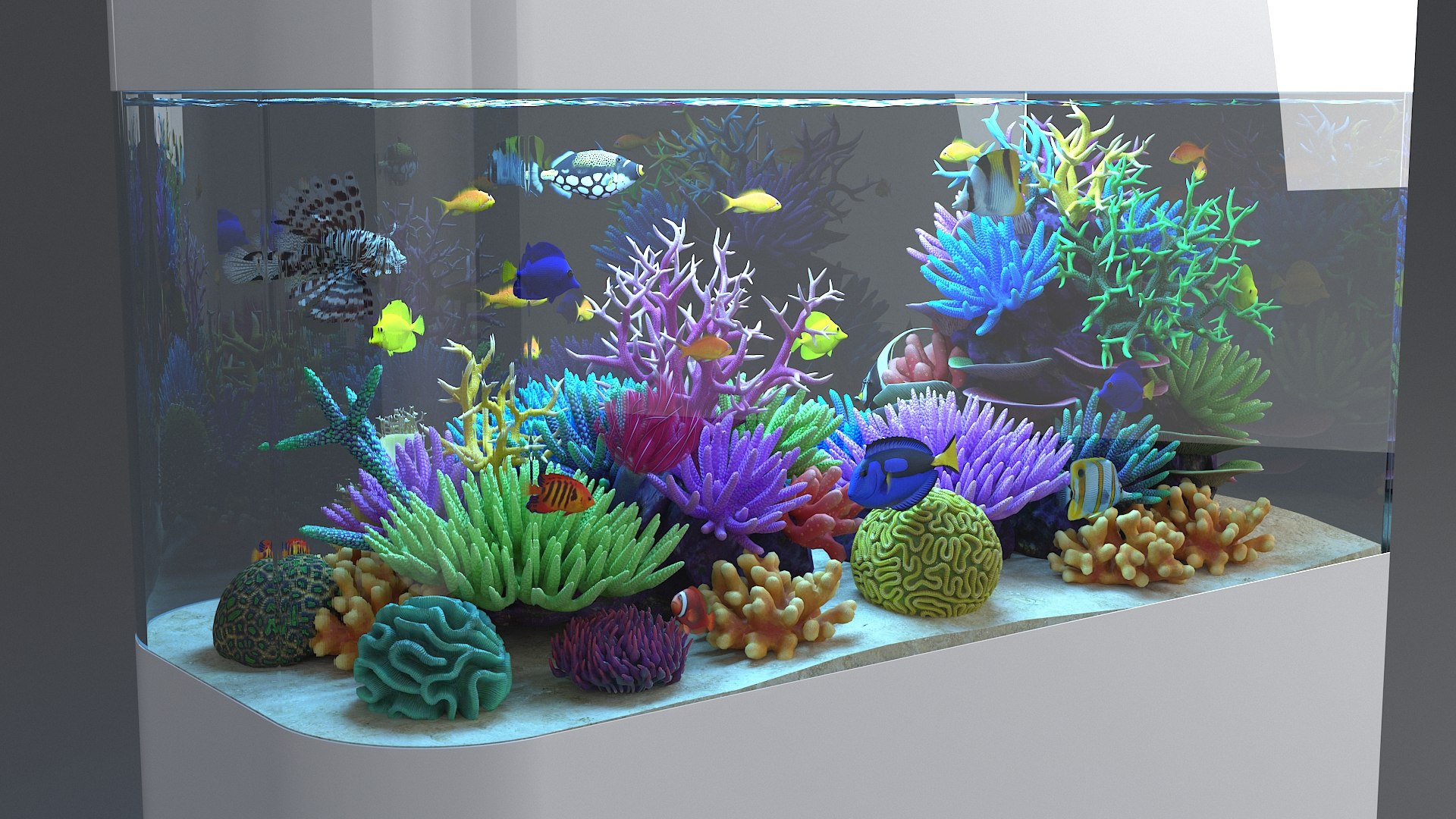 3D aquarium 06 model https://p.turbosquid.com/ts-thumb/oL/lqTfde/XSalGInU/aquasixth_08/jpg/1580284891/1920x1080/fit_q87/aec8d7db08c34536bda74ecebb1a72f9b9ca61a0/aquasixth_08.jpg