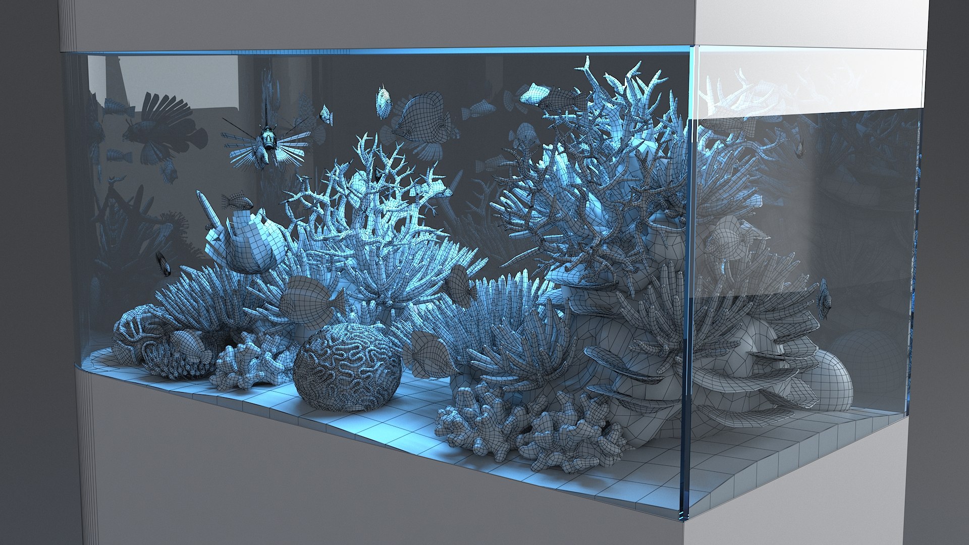 3D aquarium 06 model https://p.turbosquid.com/ts-thumb/oL/lqTfde/b0wuZJzo/aquasixth_23/jpg/1580284892/1920x1080/fit_q87/67c88c2734e18ad5e5f42c476137f641ce14ec2e/aquasixth_23.jpg