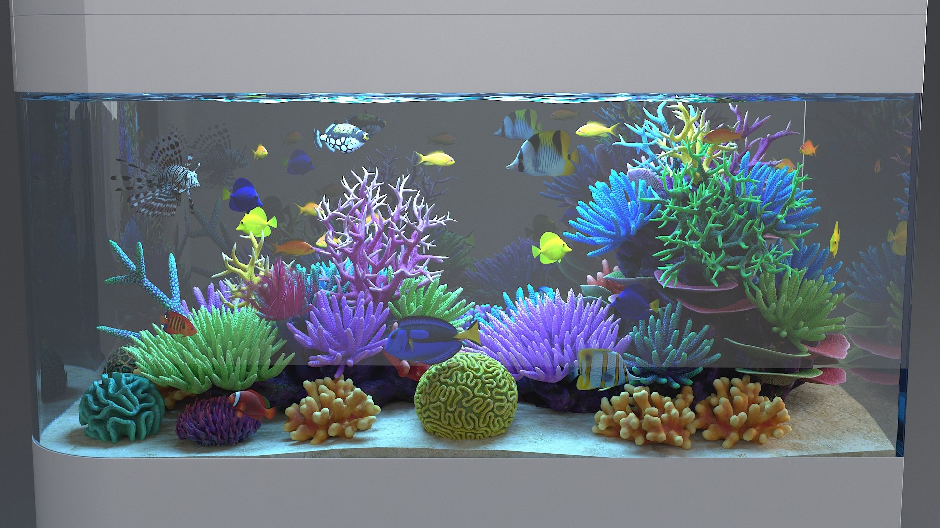 3D aquarium 06 model https://p.turbosquid.com/ts-thumb/oL/lqTfde/i20uCuFG/aquasixth_09/jpg/1580284891/1920x1080/fit_q87/d5722be55083b8cd347ba162235a109f368e52f4/aquasixth_09.jpg