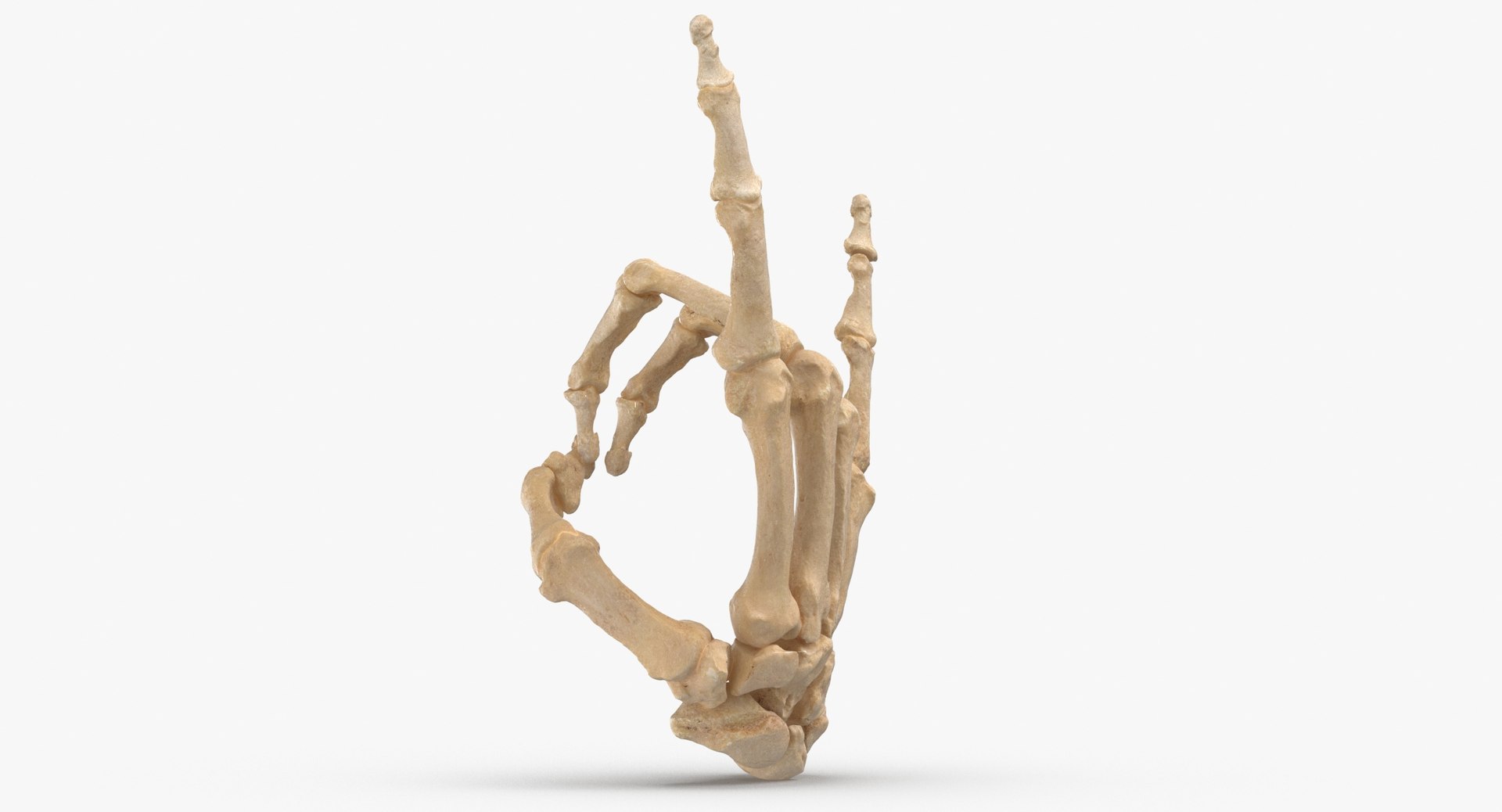 3D Human Hand Bones Rock Sign White And Yellow Collection 01 - 2 Models ...