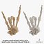 3D Human Hand Bones Rock Sign White and Yellow Collection 01 - 2 models