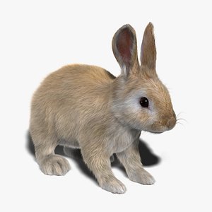 Rabbit (Cream) (FUR)
