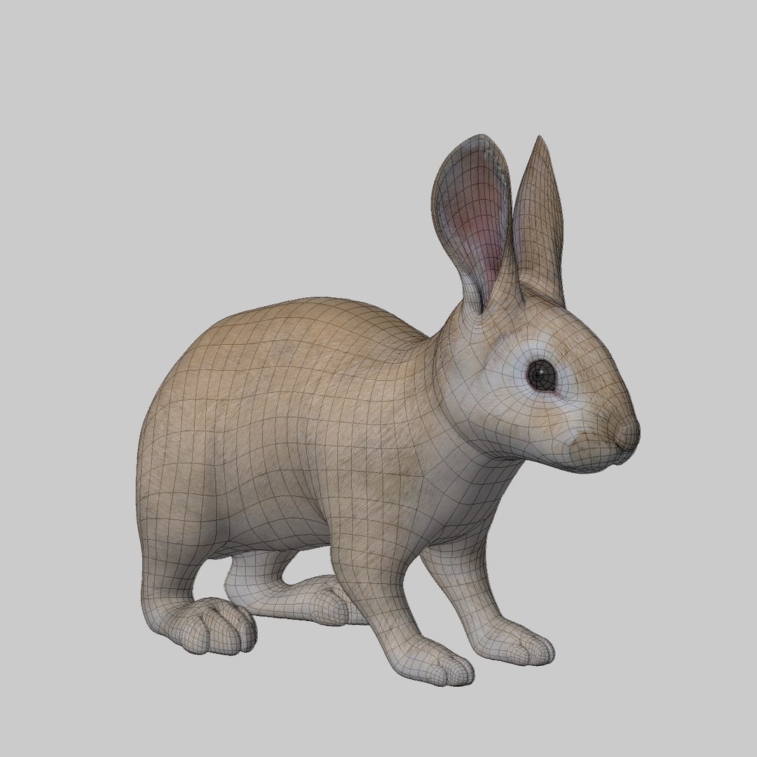 Rabbit Cream Fur 3d Obj