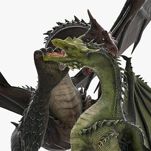 The Battle of Two Mythical Dragons 3D