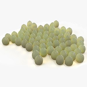 3D Monarch Butterfly Egg Laying in Early Stages of Maturation model