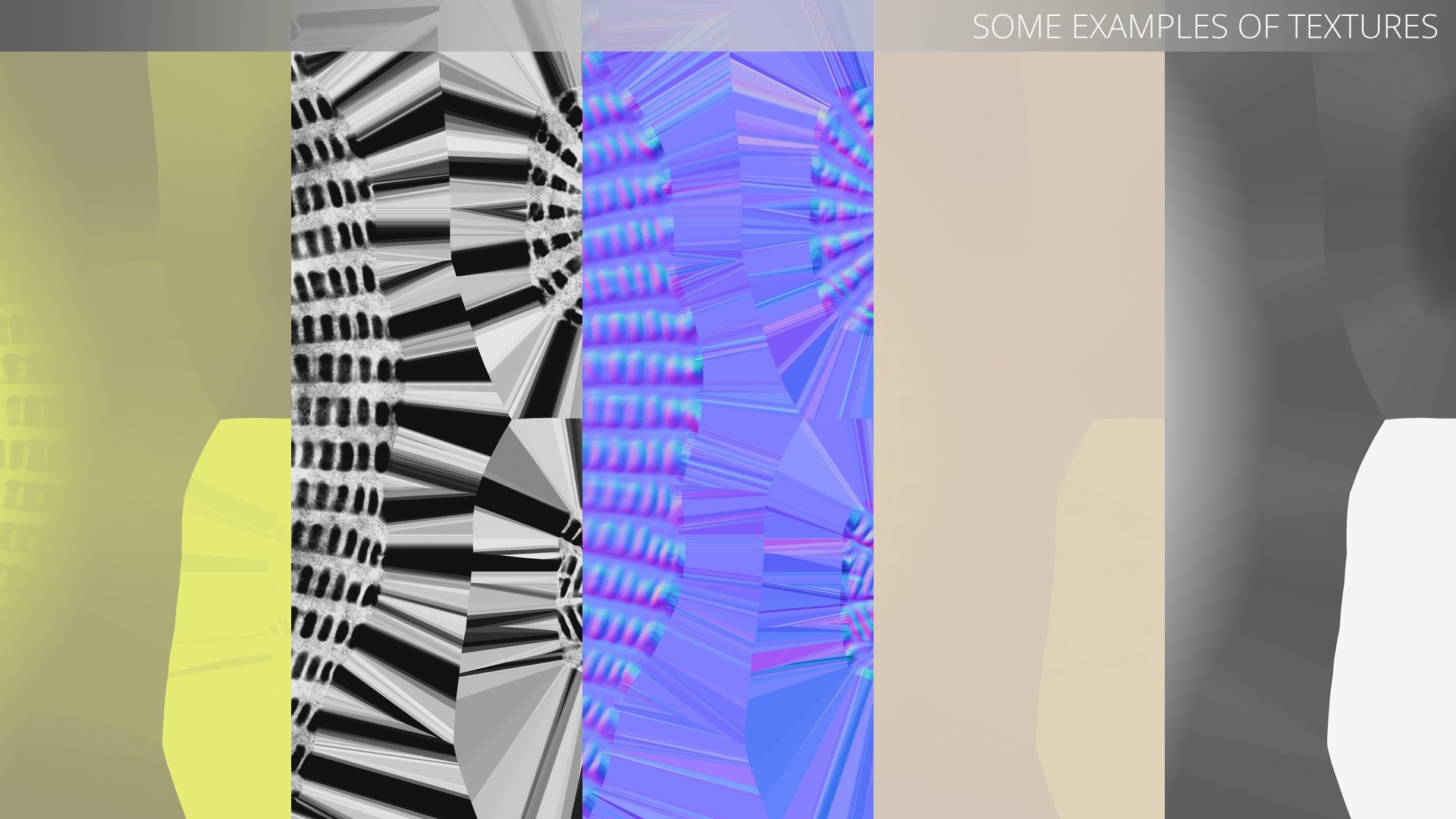 3D Monarch Butterfly Egg Laying in Early Stages of Maturation model https://p.turbosquid.com/ts-thumb/oL/zWAaqD/Oe/monarch_butterfly_egg_laying_in_early_stages_of_maturation_011/jpg/1757023754/1920x1080/fit_q87/09488fe1202a76e223a4d6ac84839bbbfdda1a93/monarch_butterfly_egg_laying_in_early_stages_of_maturation_011.jpg